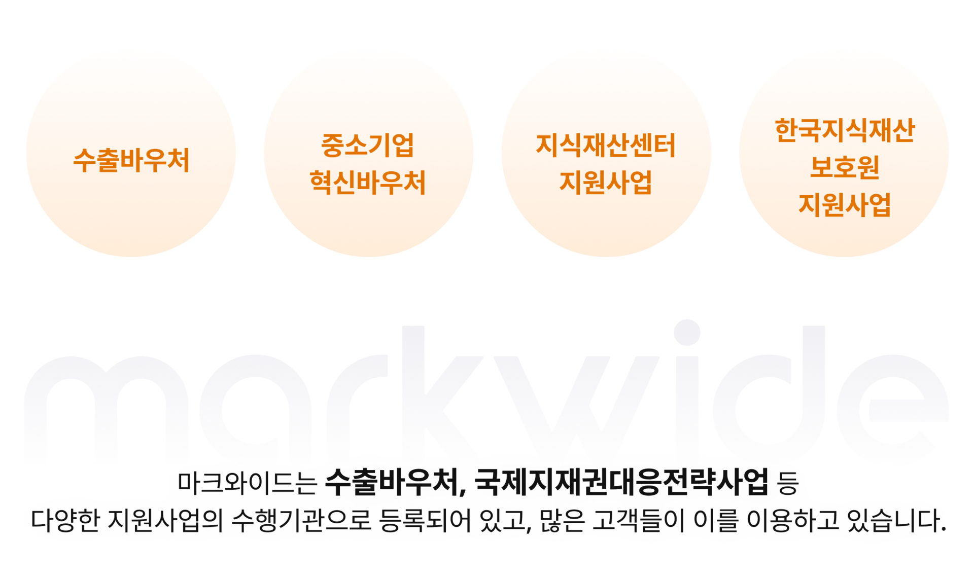 마크와이드 수행 지원사업